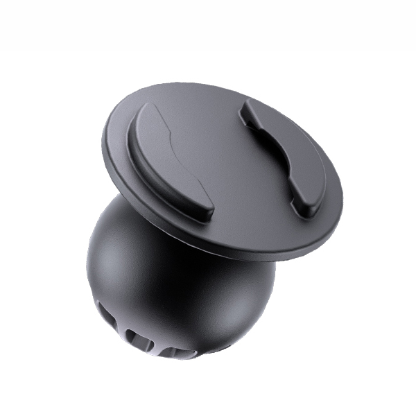 Daisy on the Ohoopee